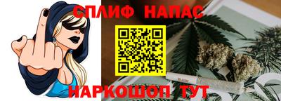 гашик Ставрополь