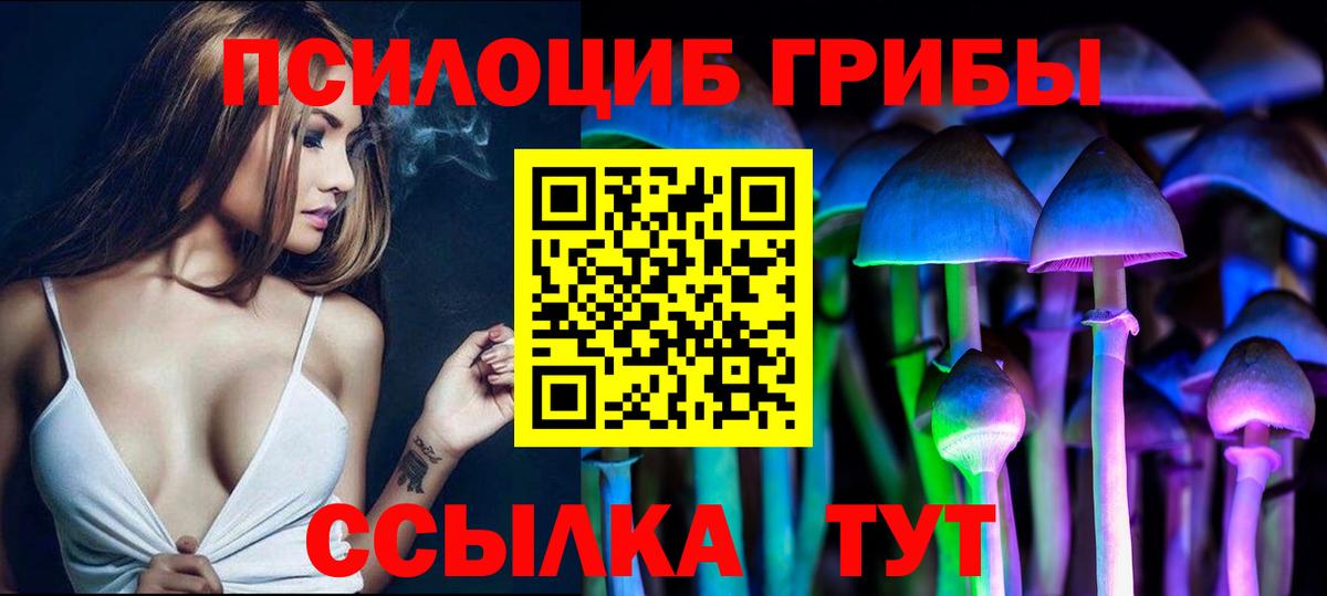 Псилоцибиновые грибы мухоморы  Вход с VPN  Псилоцибиновые грибы мухоморы  Новотроицк 